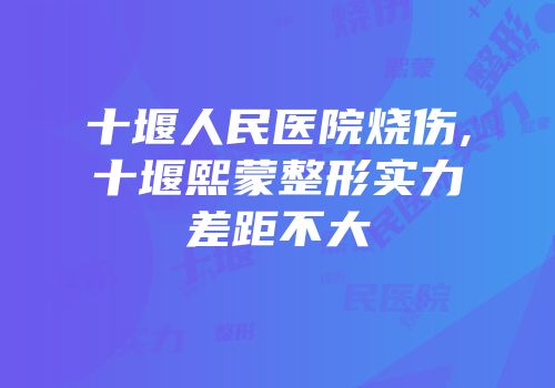 十堰人民医院烧伤,十堰熙蒙整形实力差距不大