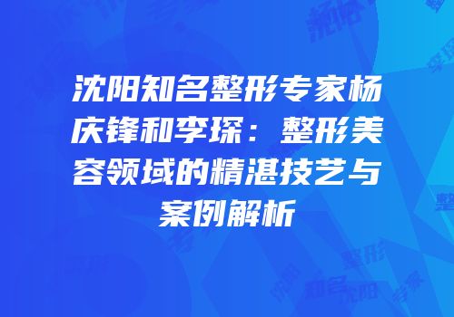 沈阳知名整形专家杨庆锋和李琛：整形美容领域的精湛技艺与案例解析