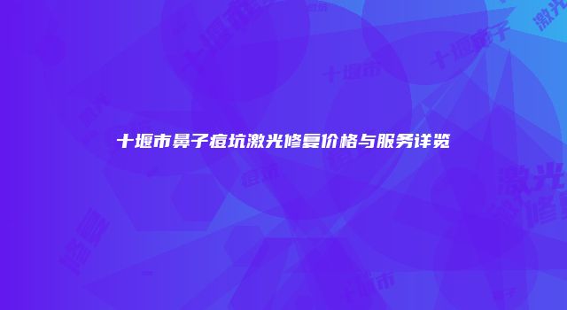 十堰市鼻子痘坑激光修复价格与服务详览