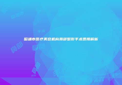 昭通市医疗美容机构鼻部整形手术费用解析