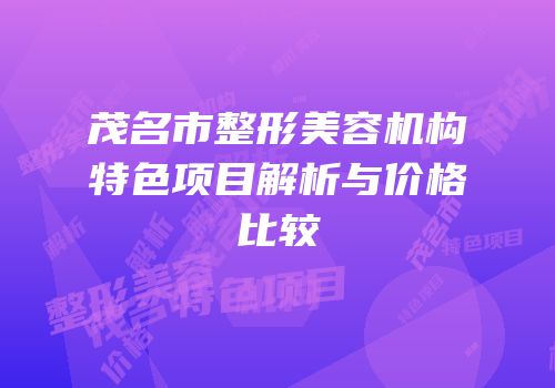 茂名市整形美容机构特色项目解析与价格比较