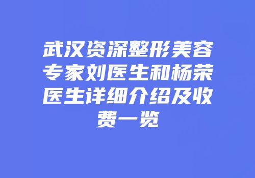 武汉资深整形美容专家刘医生和杨荣医生详细介绍及收费一览