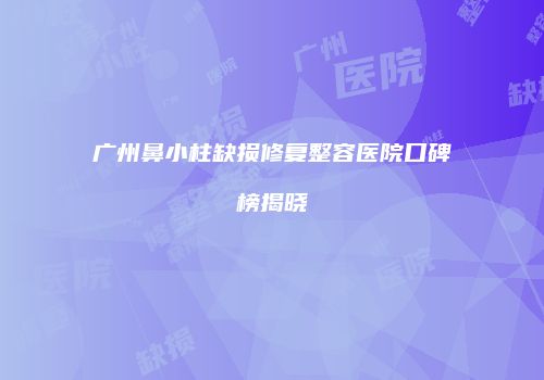 广州鼻小柱缺损修复整容医院口碑榜揭晓