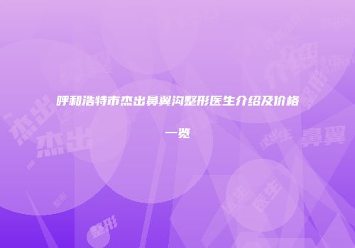 呼和浩特市杰出鼻翼沟整形医生介绍及价格一览