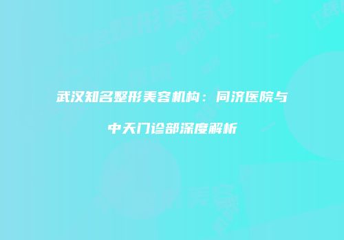 武汉知名整形美容机构：同济医院与中天门诊部深度解析