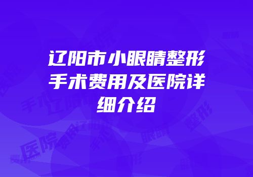 辽阳市小眼睛整形手术费用及医院详细介绍
