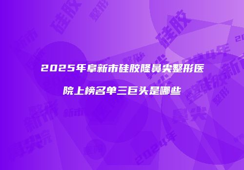 2025年阜新市硅胶隆鼻尖整形医院上榜名单三巨头是哪些