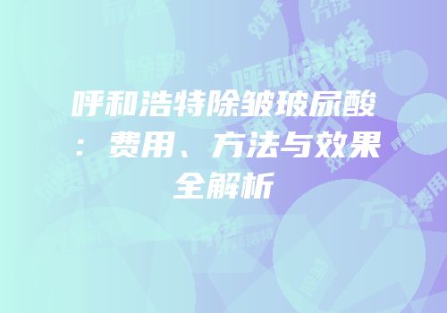 呼和浩特除皱玻尿酸：费用、方法与效果全解析