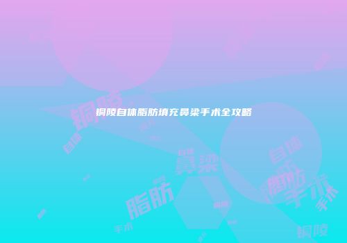 铜陵自体脂肪填充鼻梁手术全攻略