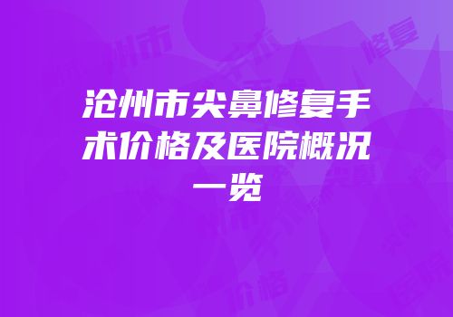沧州市尖鼻修复手术价格及医院概况一览