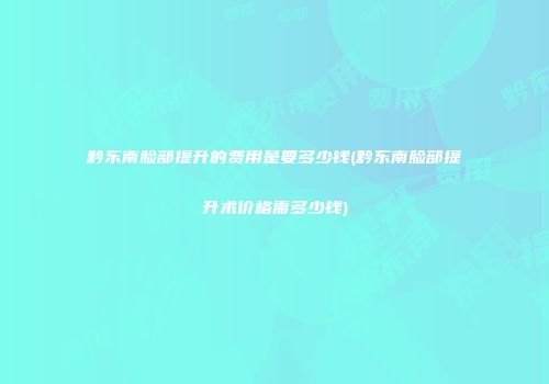 黔东南脸部提升的费用是要多少钱(黔东南脸部提升术价格需多少钱)