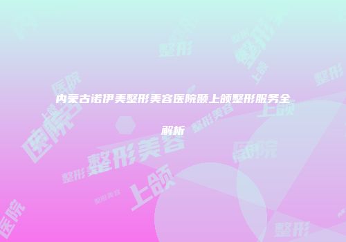 内蒙古诺伊美整形美容医院颞上颌整形服务全解析