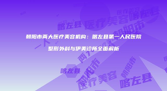 朝阳市两大医疗美容机构：喀左县第一人民医院整形外科与伊美诊所全面解析