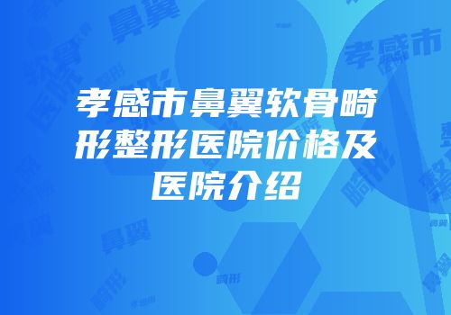 孝感市鼻翼软骨畸形整形医院价格及医院介绍