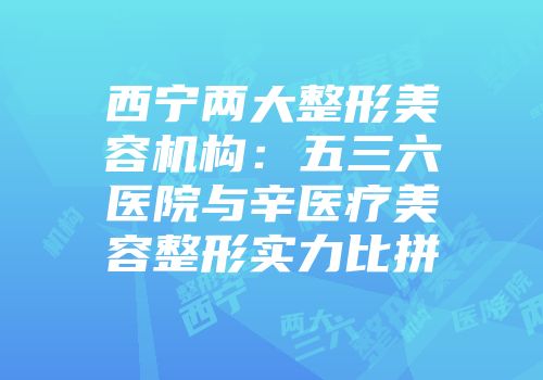 西宁两大整形美容机构：五三六医院与辛医疗美容整形实力比拼