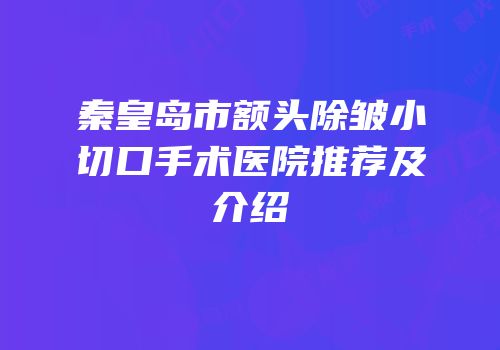 秦皇岛市额头除皱小切口手术医院推荐及介绍