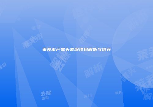 莱芜市产黑头去除项目解析与推荐