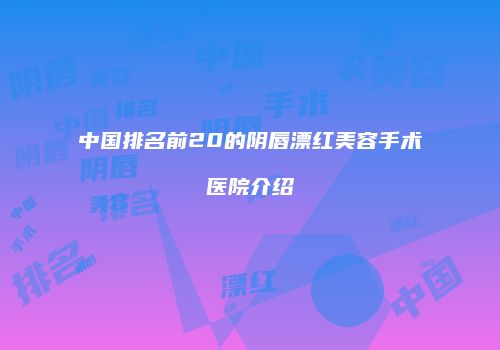 中国排名前20的阴唇漂红美容手术医院介绍