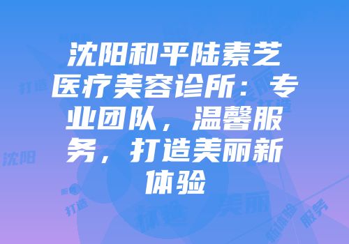 沈阳和平陆素芝医疗美容诊所：专业团队，温馨服务，打造美丽新体验