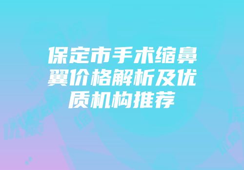 保定市手术缩鼻翼价格解析及优质机构推荐