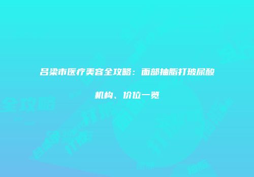 吕梁市医疗美容全攻略：面部抽脂打玻尿酸机构、价位一览