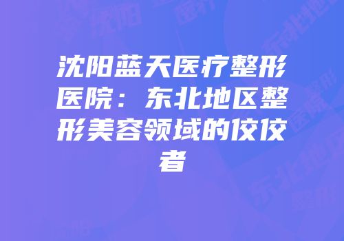 沈阳蓝天医疗整形医院：东北地区整形美容领域的佼佼者