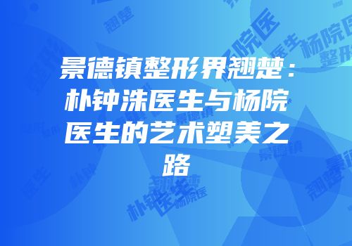 景德镇整形界翘楚：朴钟洙医生与杨院医生的艺术塑美之路