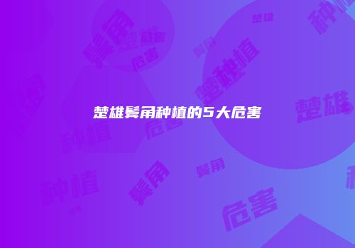 楚雄鬓角种植的5大危害