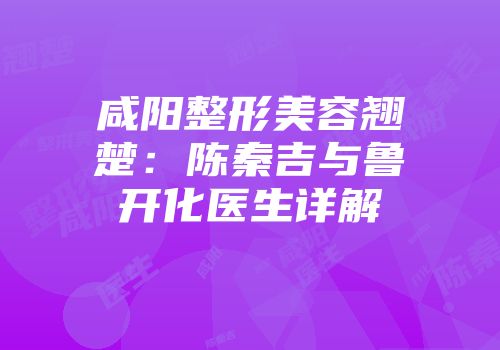 咸阳整形美容翘楚：陈秦吉与鲁开化医生详解