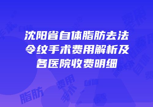 沈阳省自体脂肪去法令纹手术费用解析及各医院收费明细