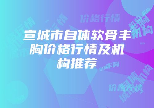 宣城市自体软骨丰胸价格行情及机构推荐