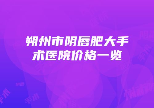 朔州市阴唇肥大手术医院价格一览