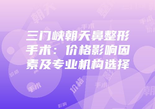 三门峡朝天鼻整形手术：价格影响因素及专业机构选择