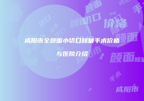 咸阳市全颜面小切口除皱手术价格与医院介绍