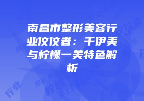 南昌市整形美容行业佼佼者：千伊美与柠檬一美特色解析