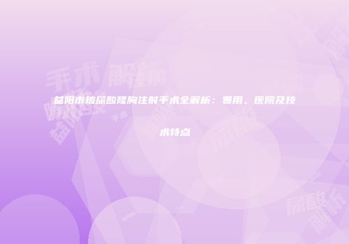 益阳市玻尿酸隆胸注射手术全解析：费用、医院及技术特点