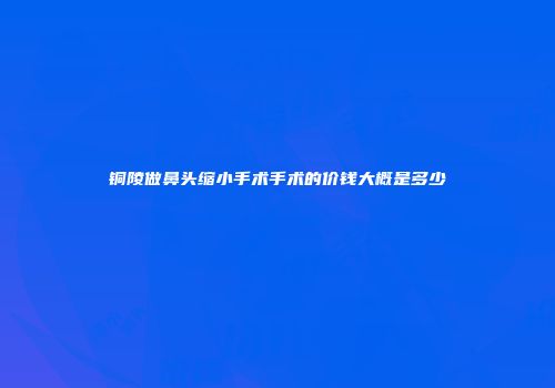 铜陵做鼻头缩小手术手术的价钱大概是多少