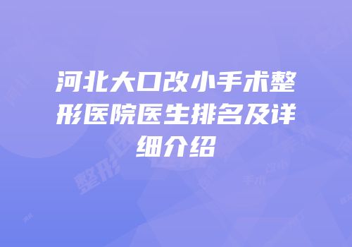 河北大口改小手术整形医院医生排名及详细介绍