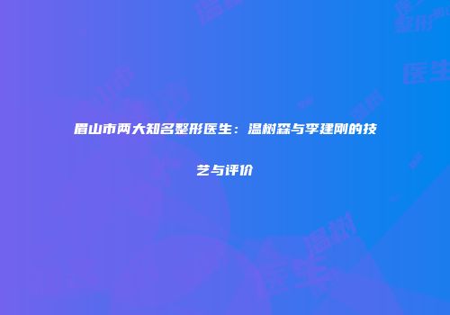眉山市两大知名整形医生：温树森与李建刚的技艺与评价
