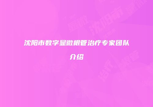 沈阳市数字显微根管治疗专家团队介绍
