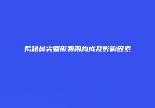 揭秘鼻尖整形费用构成及影响因素