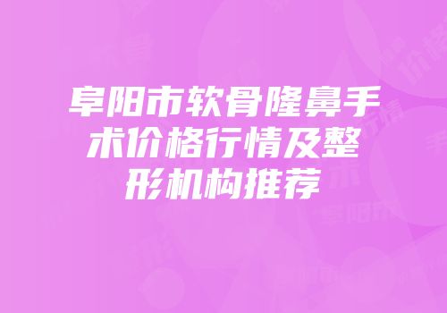 阜阳市软骨隆鼻手术价格行情及整形机构推荐