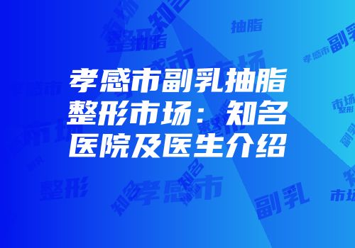 孝感市副乳抽脂整形市场：知名医院及医生介绍