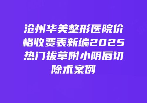 沧州华美整形医院价格收费表新编2025热门拔草附小阴唇切除术案例