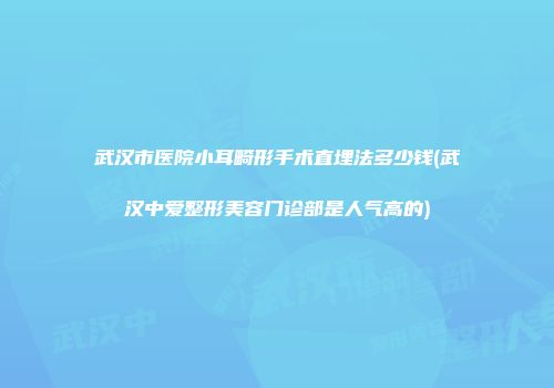 武汉市医院小耳畸形手术直埋法多少钱(武汉中爱整形美容门诊部是人气高的)