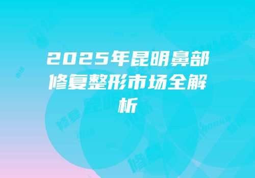 2025年昆明鼻部修复整形市场全解析
