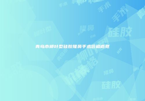 青岛市柳叶型硅胶隆鼻手术价格概览