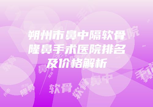 朔州市鼻中隔软骨隆鼻手术医院排名及价格解析