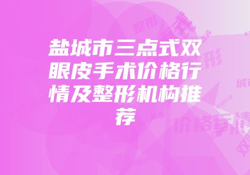 盐城市三点式双眼皮手术价格行情及整形机构推荐