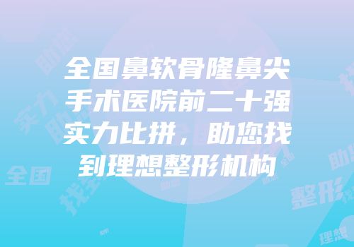 全国鼻软骨隆鼻尖手术医院前二十强实力比拼，助您找到理想整形机构